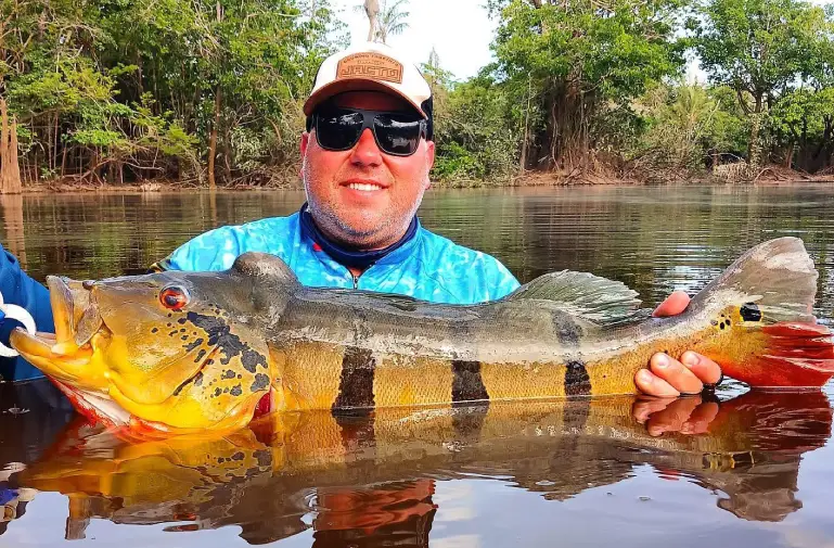 Peacock Bass géant en Amazonie