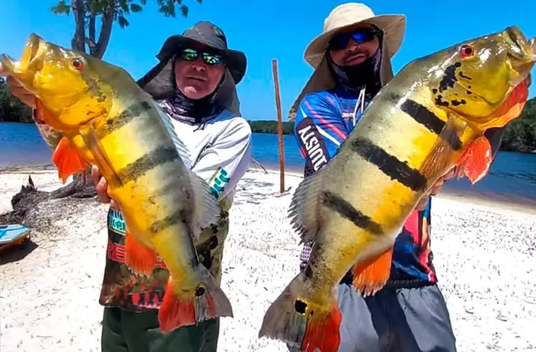 Pêche extrême en Amazonie