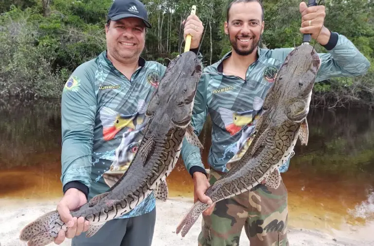 Pêche du Payara au Brésil, chasse aux vampires des rivières