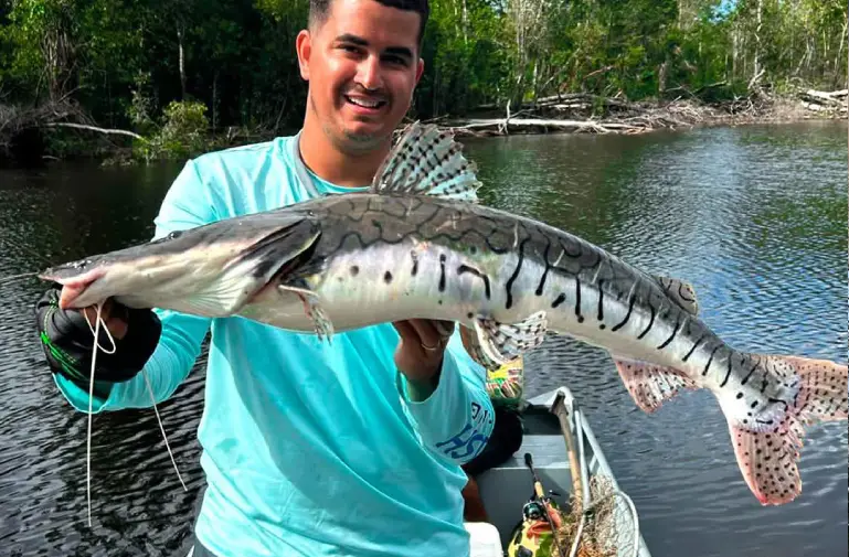 Pêche du Piraiba, poisson géant des rivières brésiliennes