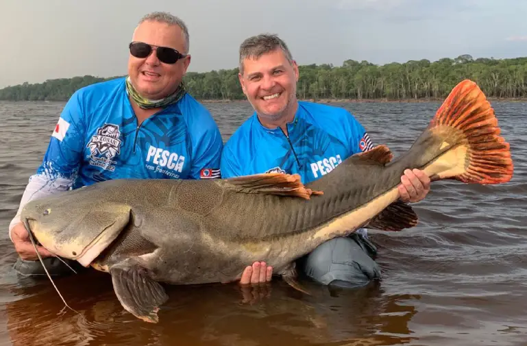 Pêche extrême en Amazonie, traque du Payara  au Brésil