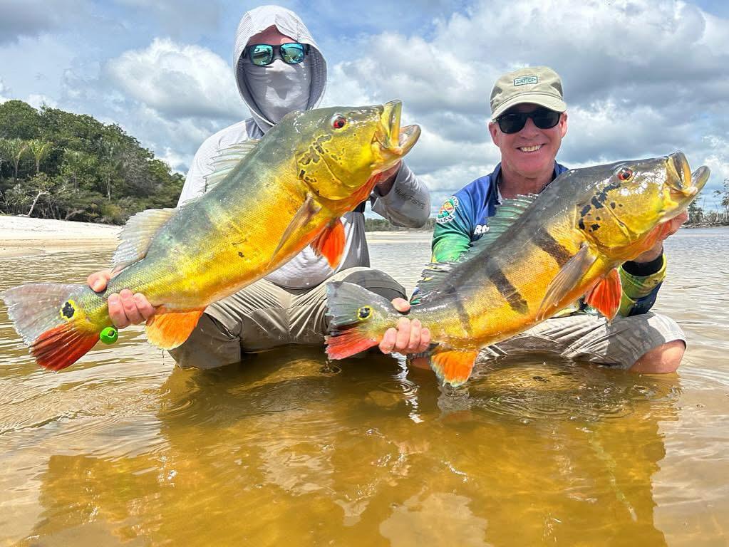séjour de pêche peacock bass