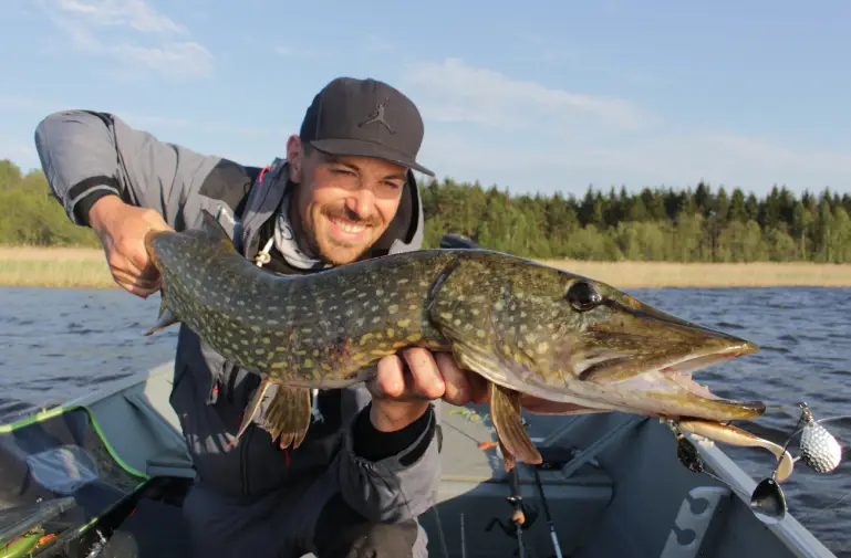 lake laponie