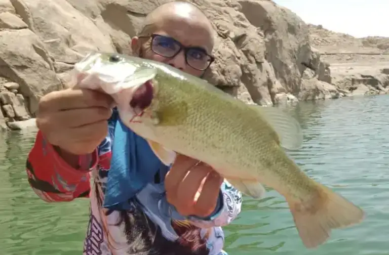 vacances Brochet