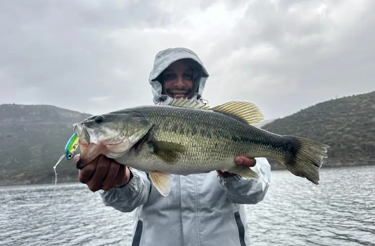 Pêche du barbeau en rivière au Portugal