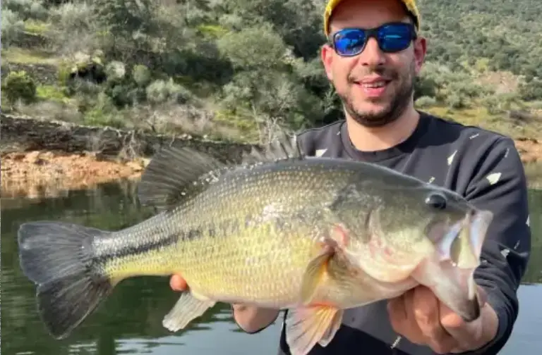 Pêche du sandre au Portugal